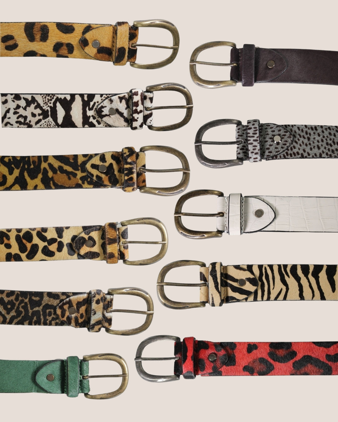 Diba True Women's Assorted Belts