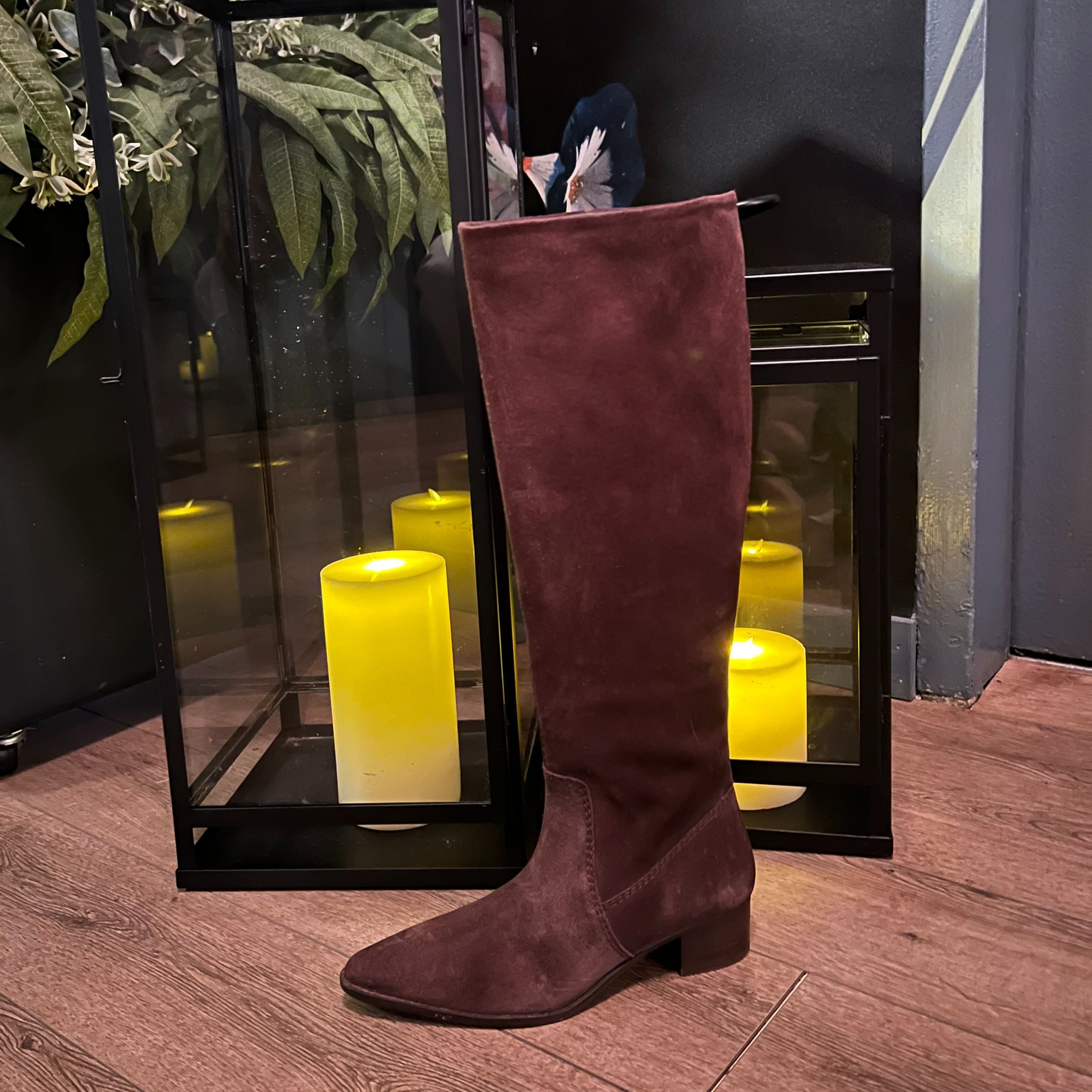Dig Ital | Tall Leather and Suede Pointed Toe Boots – DibaTrue