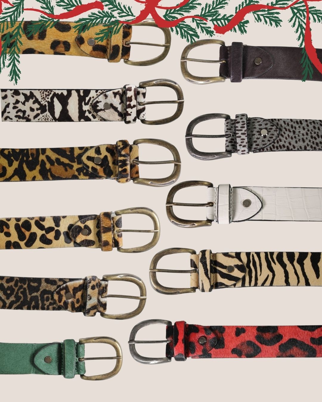 Diba True Women's Assorted Belts